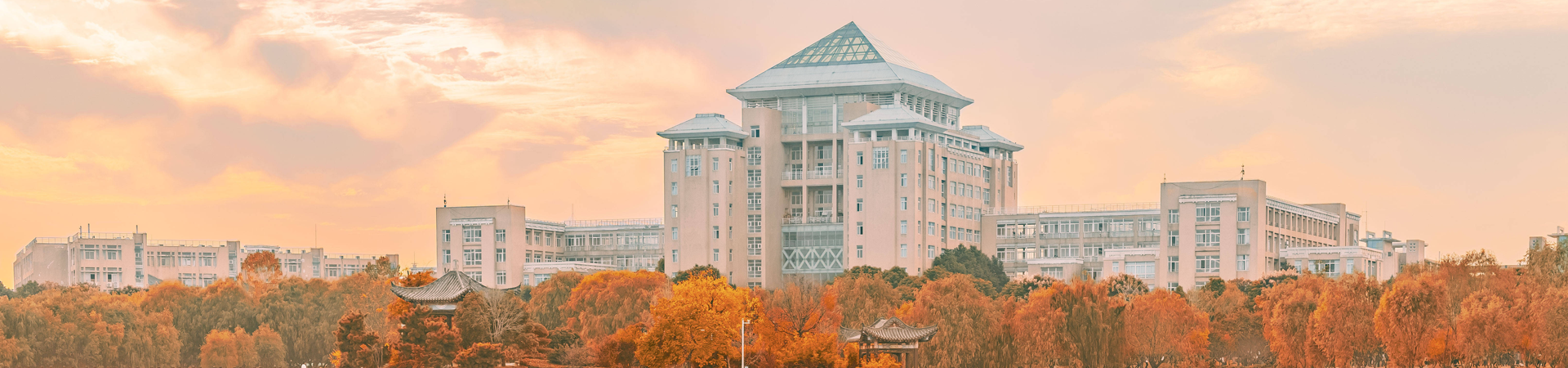 Wuhan University of Science & Technology